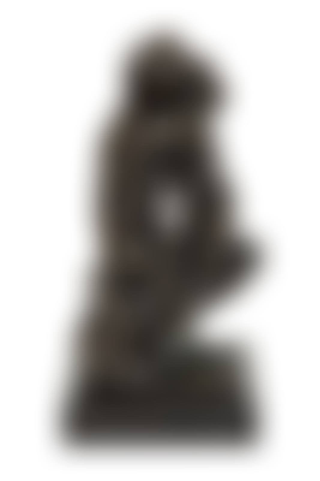 Frère et soeur, conceived c. 1890-91, this work cast in 1964 (preview)