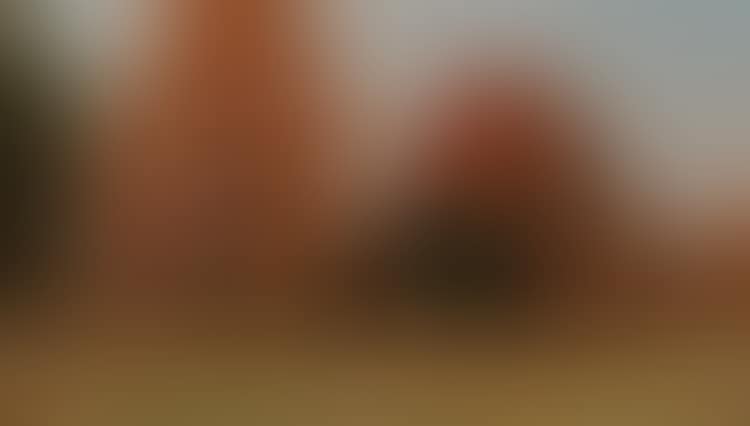 A Hunter and His Dog in an Autumn Landscape (preview)