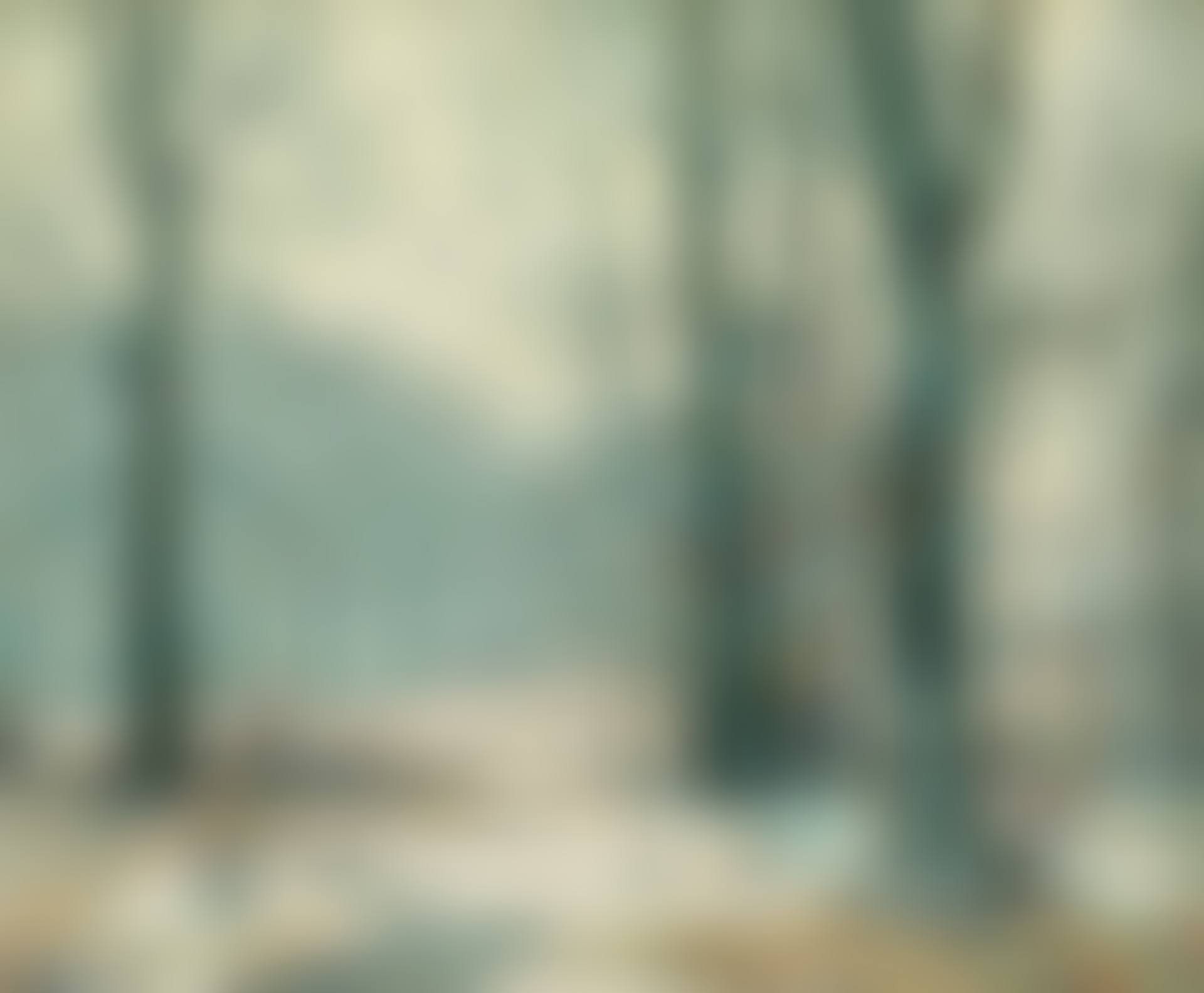 "Winter Morning Mists" (preview)