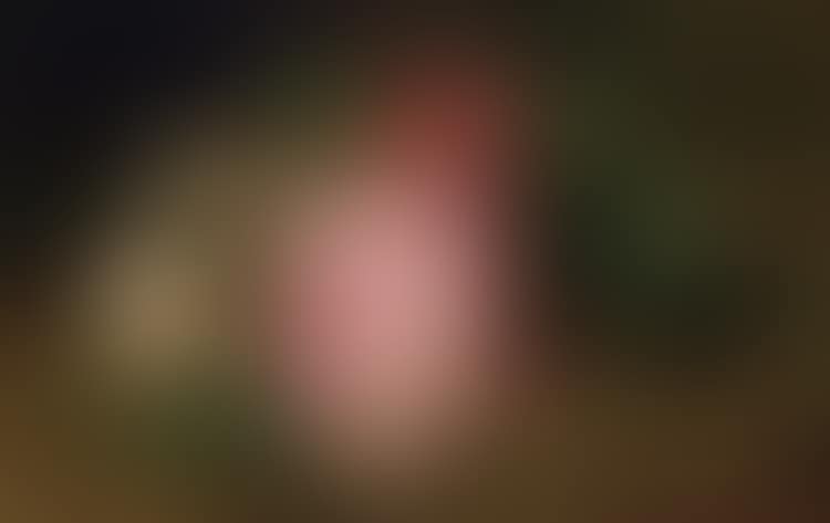 Floral Still Life (preview)