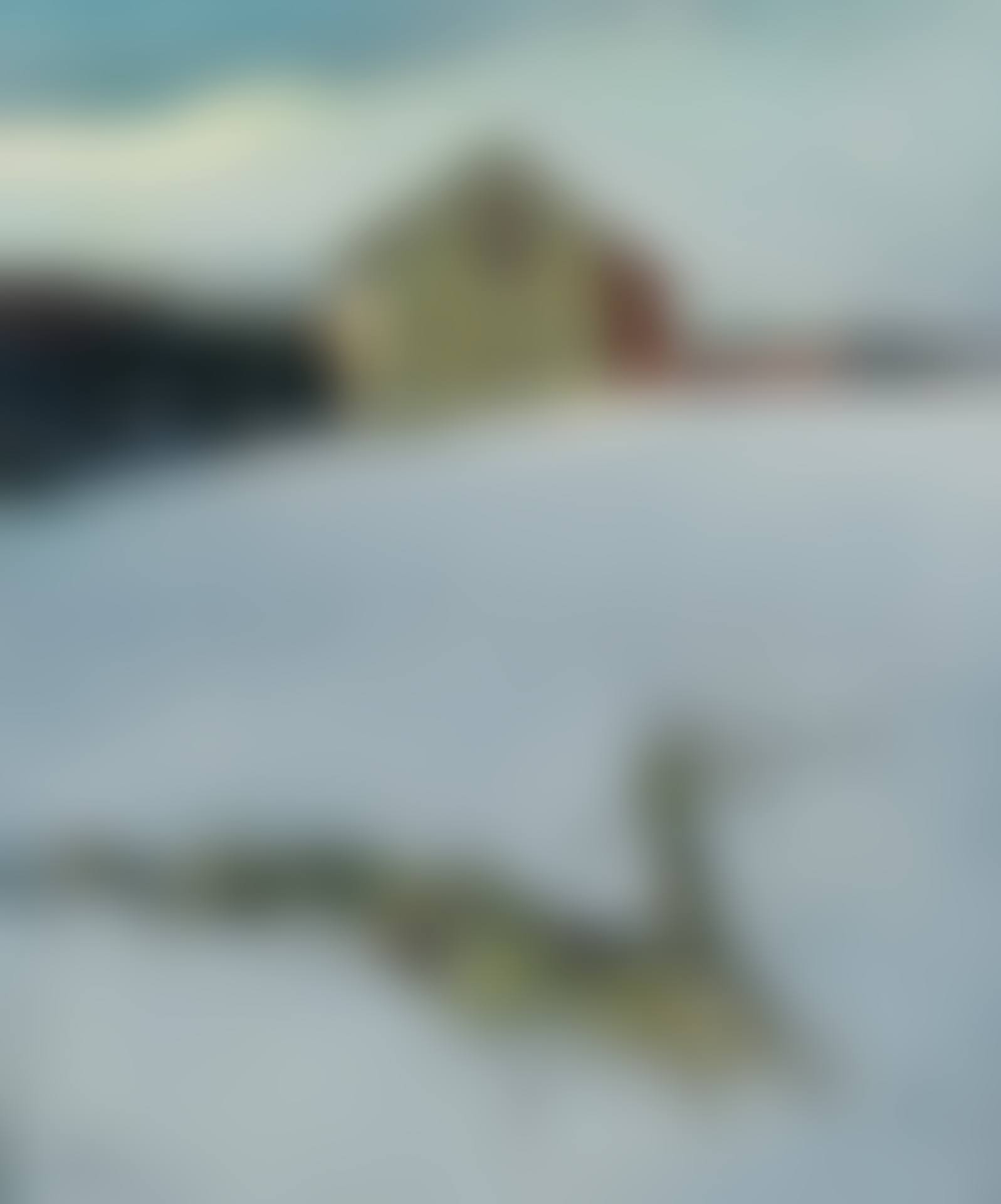 "Last Snow" (preview)
