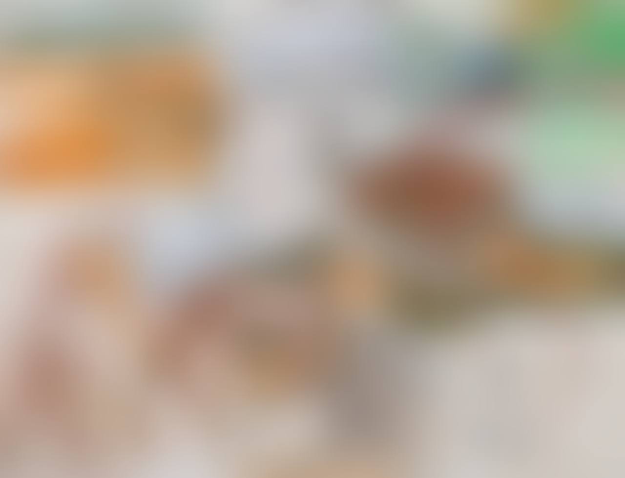 "About the Zoo" (preview)