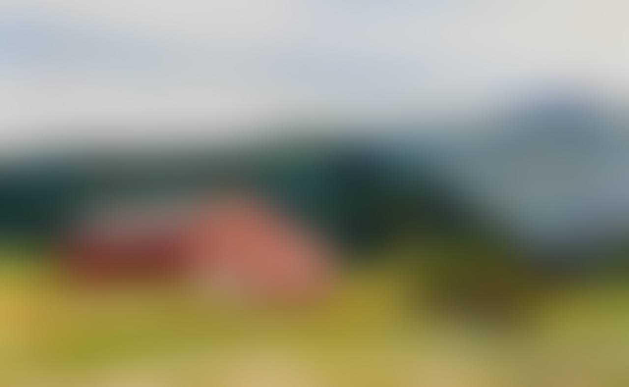 Landscape with Red Barn (preview)