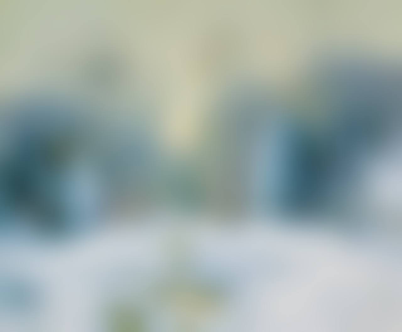 Winter Brook (preview)