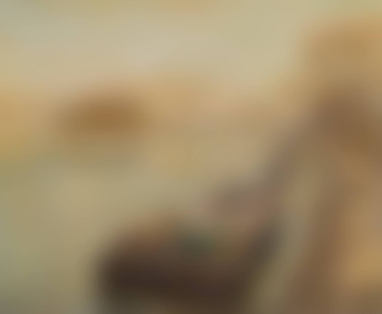 "Fruhling in Paris" (preview)