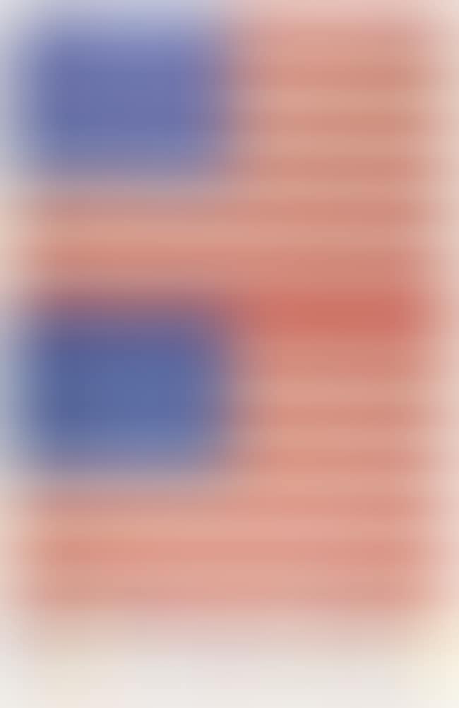 Two Flags (Whitney Anniversary) (preview)