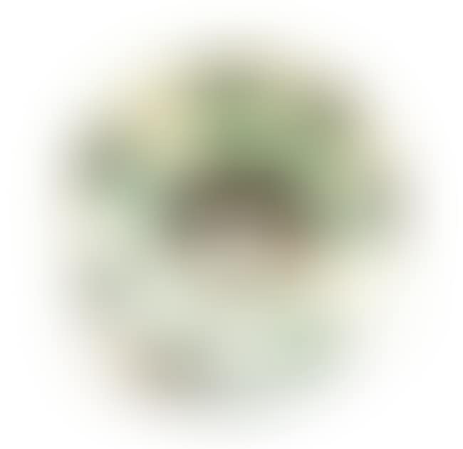 Visage Bowl (Ramie 290) (preview)