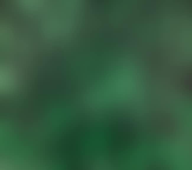 Multiplication (not in Heenk) (preview)