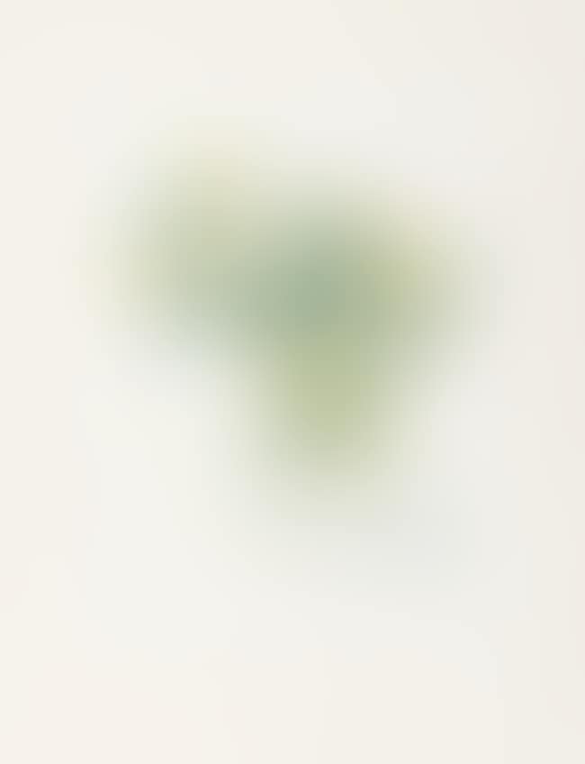 Marguerites (Scottish Arts Council 157) (preview)