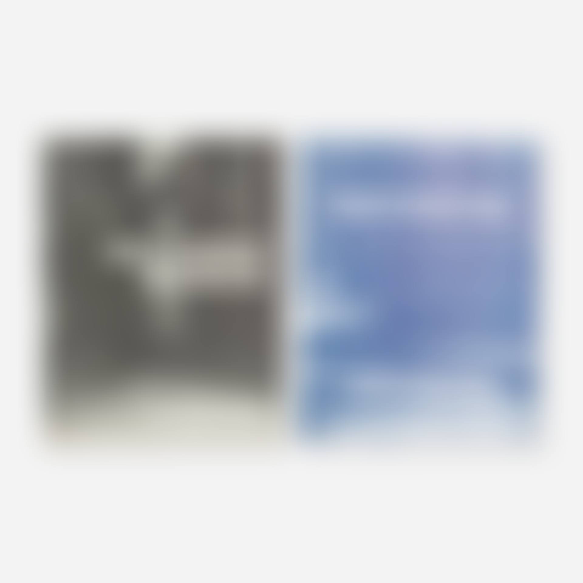 Christopher Wool monographs, two (preview)