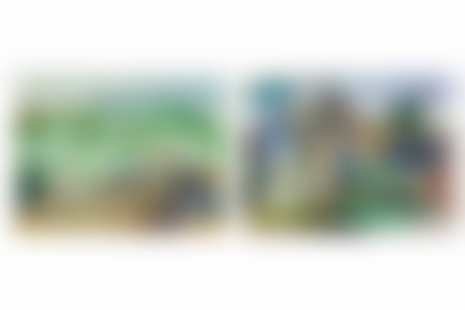 Rural farm scenes (preview)
