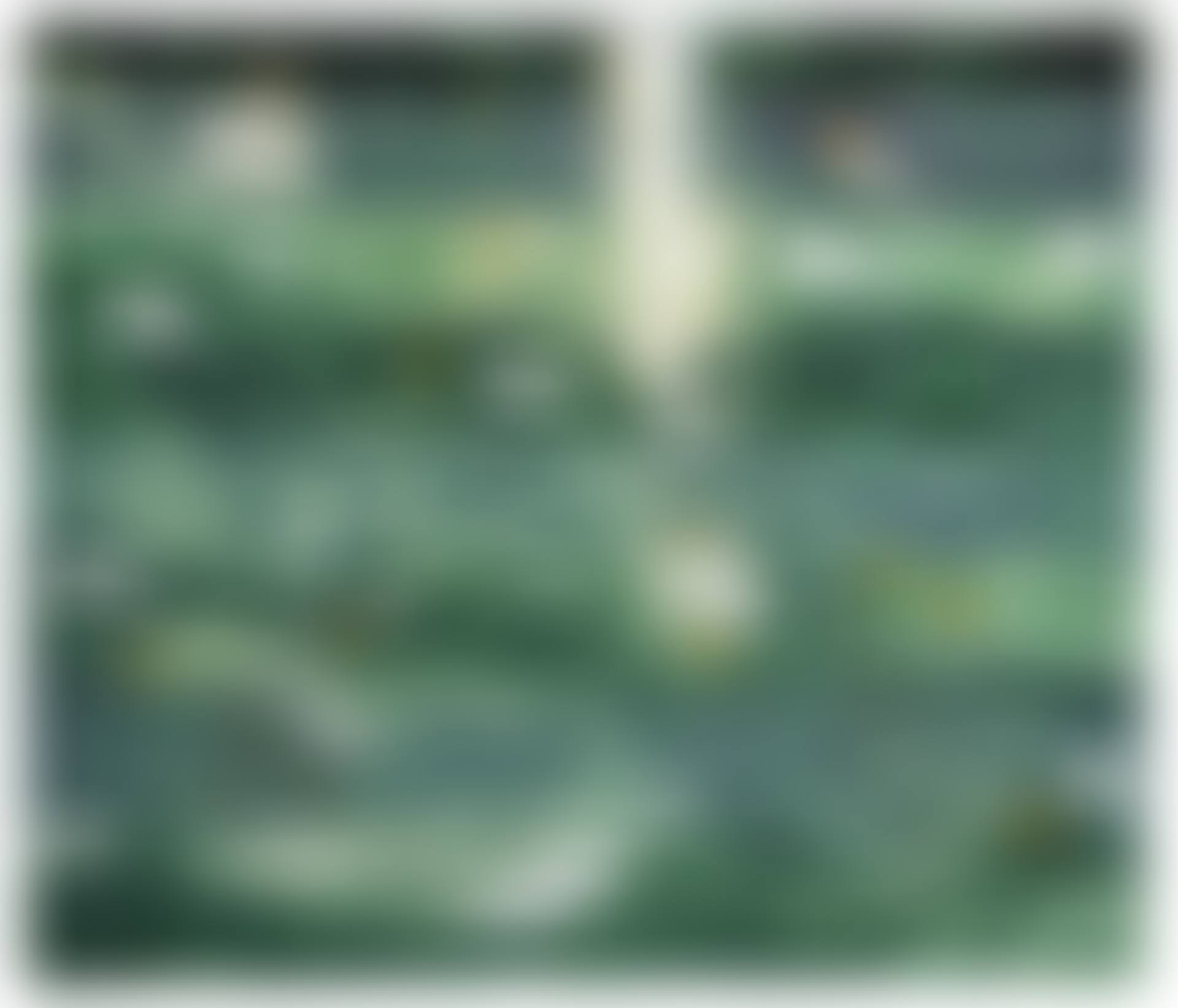 "Pond Edge 6 - Reflections II," (preview)