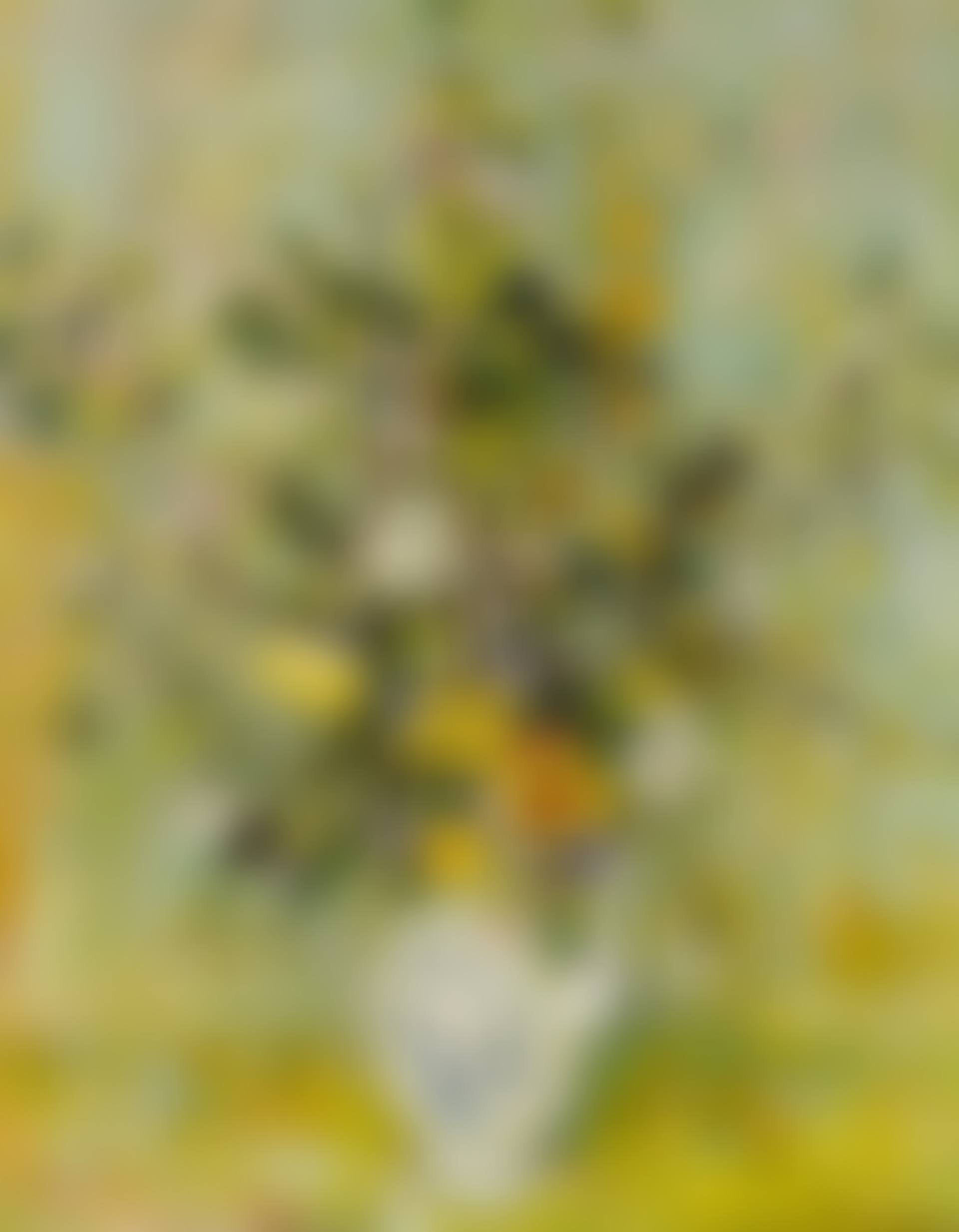 Still life with pitcher (preview)