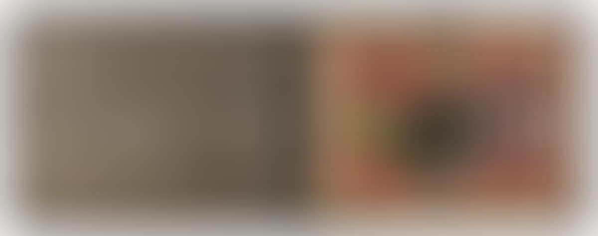 "Look at it on a Rainy Day (Regentag Portfolio)," (preview)