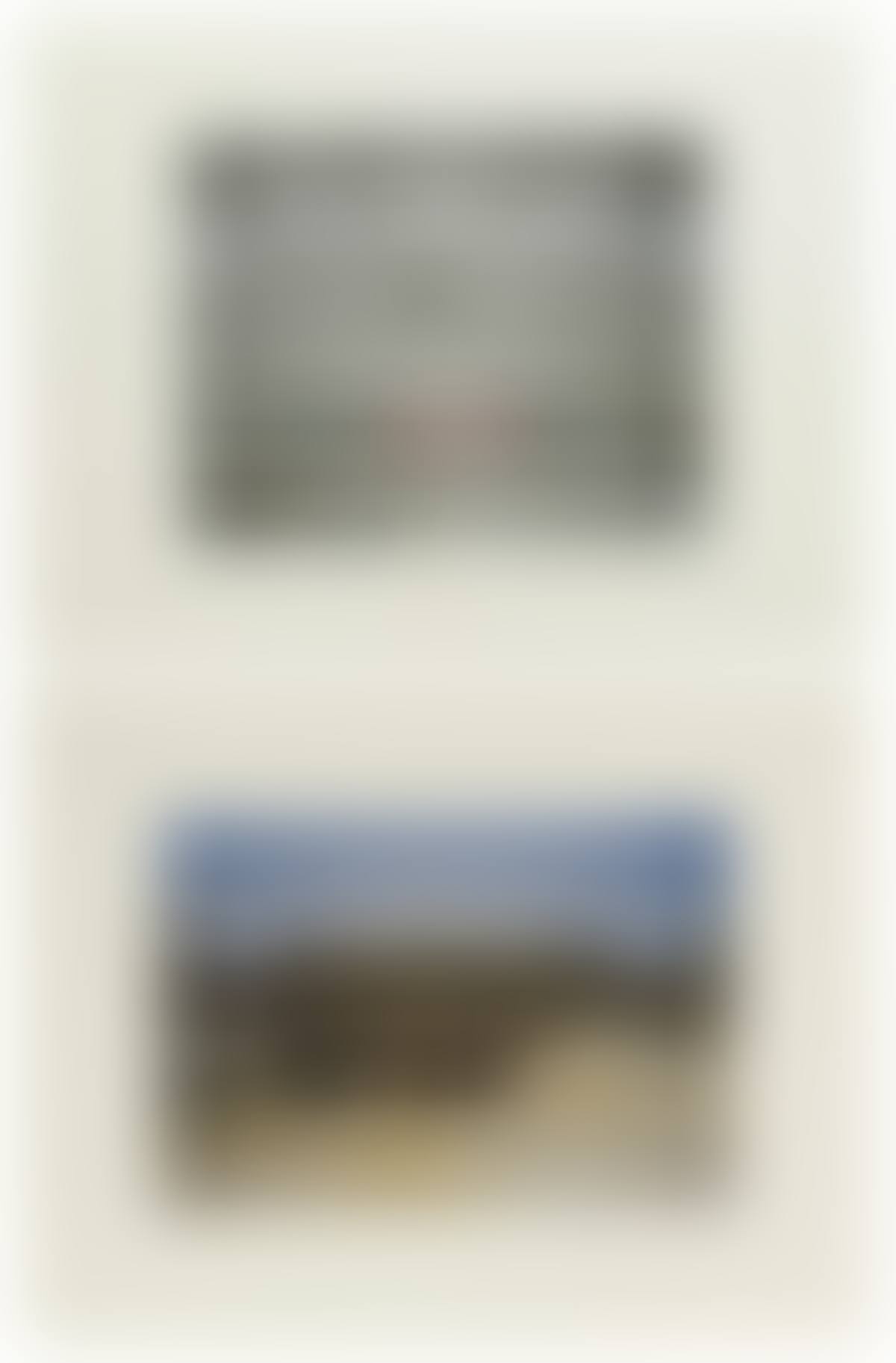 Untitled (two works from "Becoming") (preview)