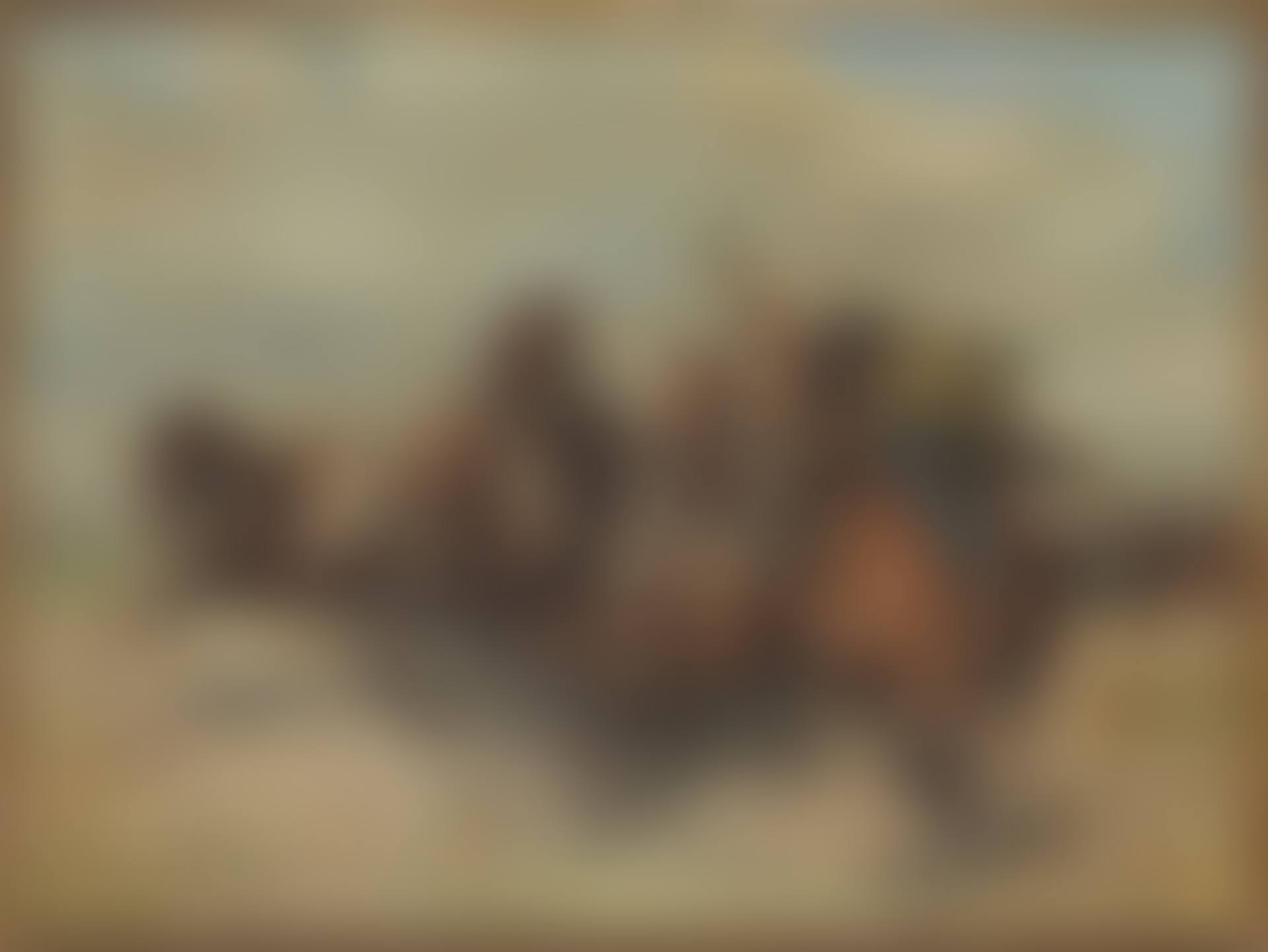 Hungarian csikós with stampeding horses (preview)