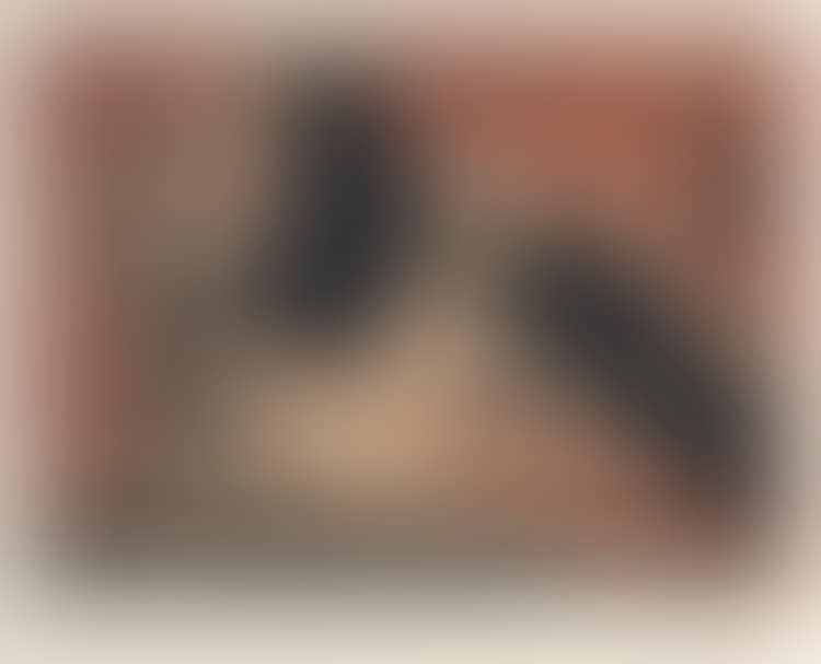 "Farol [Bluff]" (preview)