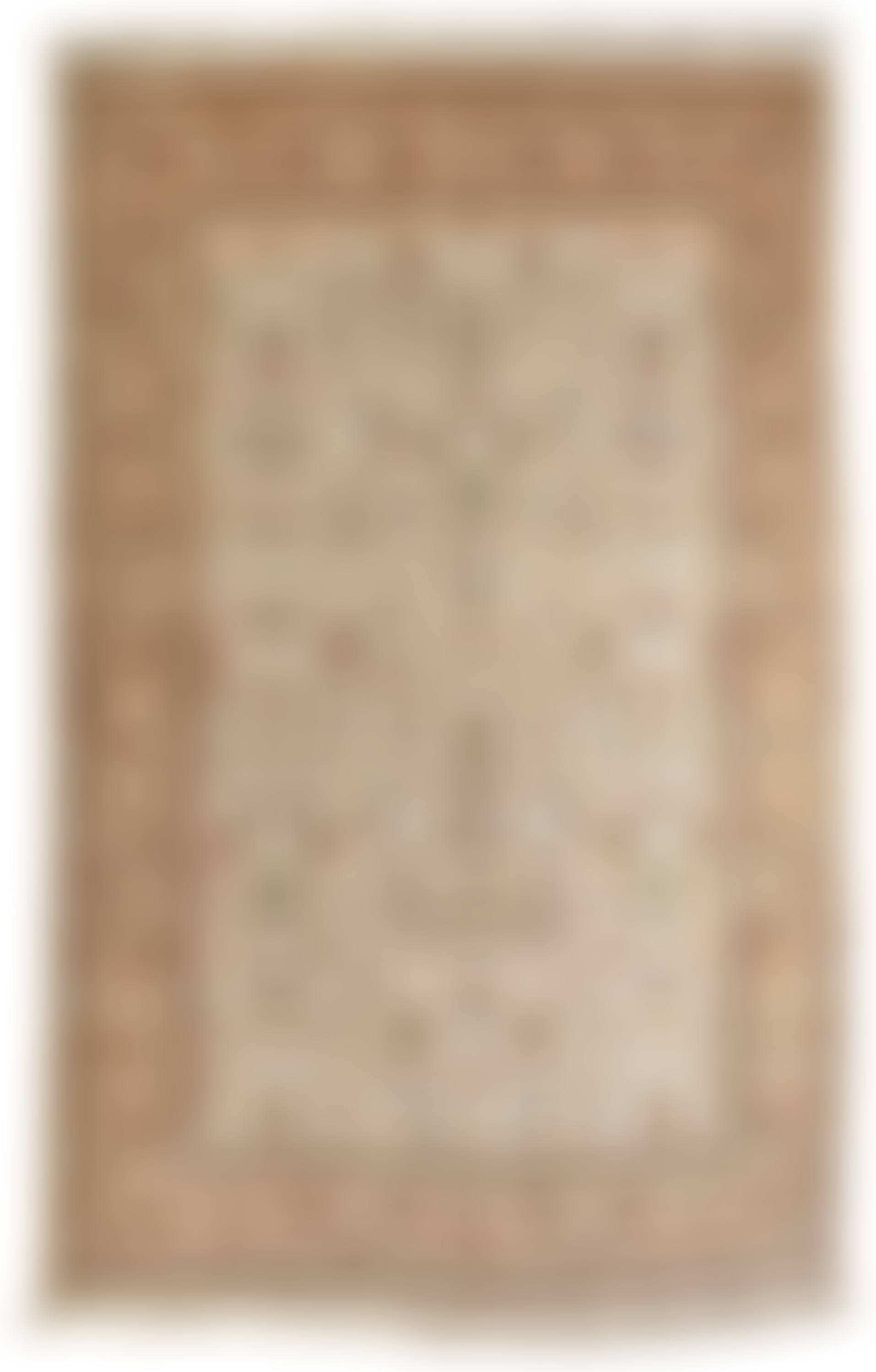 An Indian area rug (preview)
