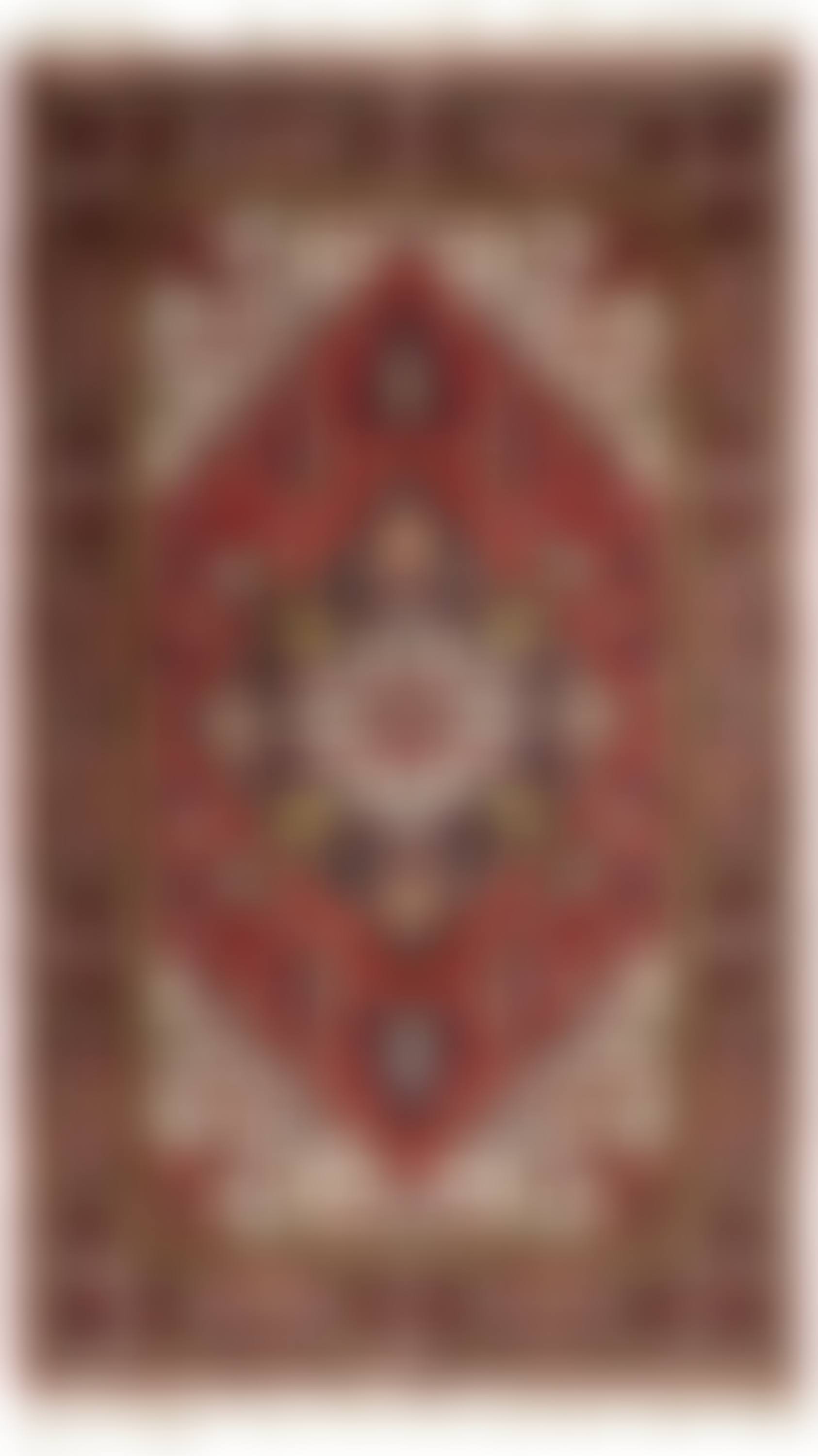 A Heriz area rug (preview)