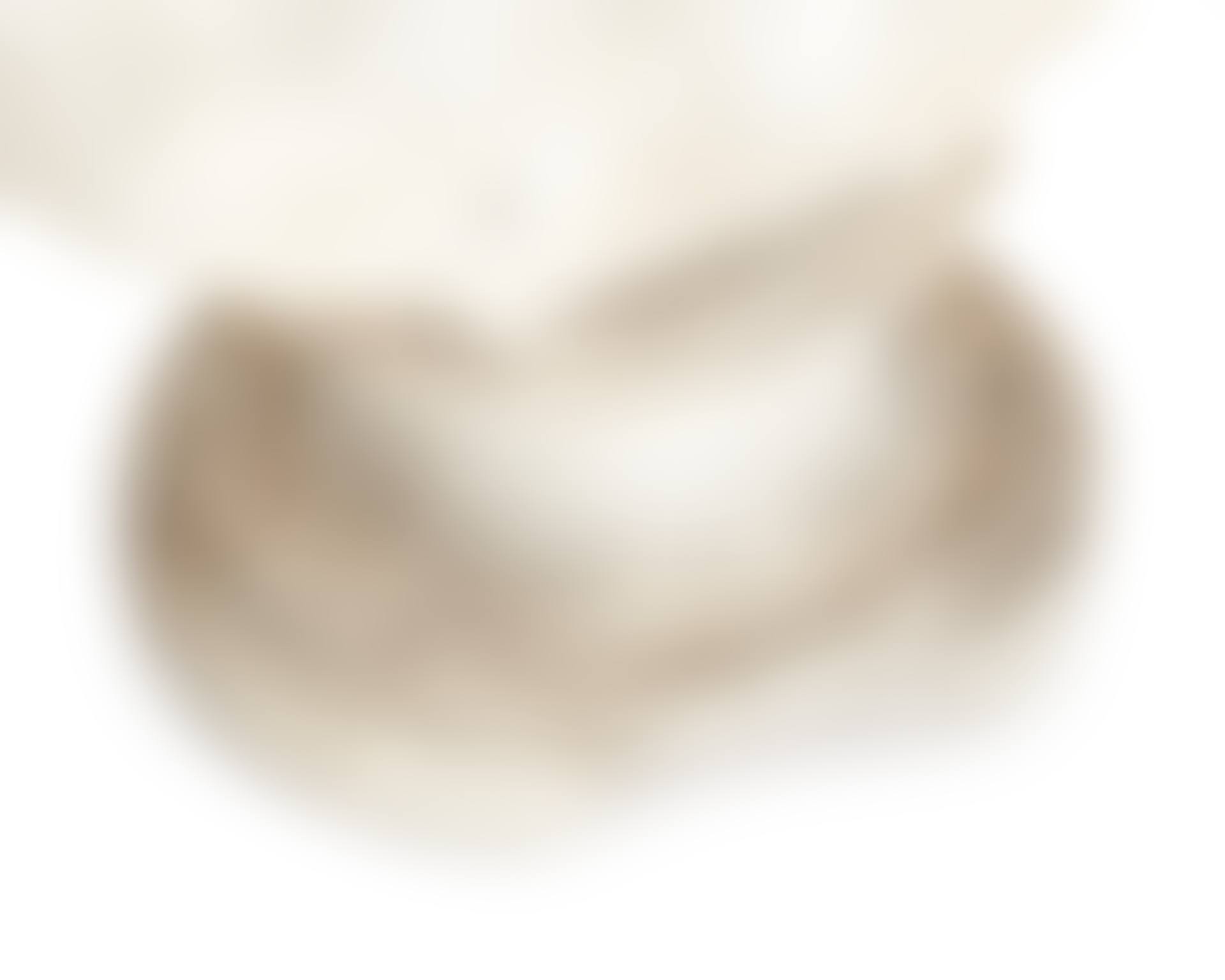 A cast stone bust (preview)