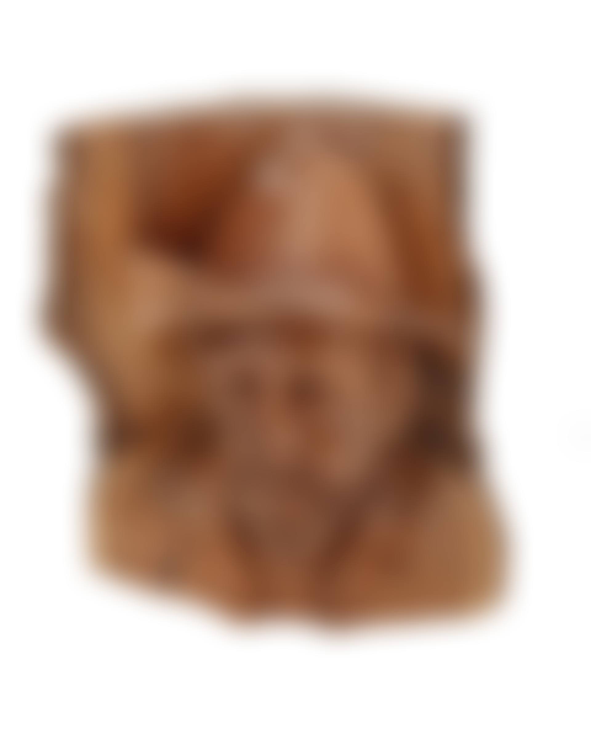 A Swiss carved wood portrait of a man (preview)