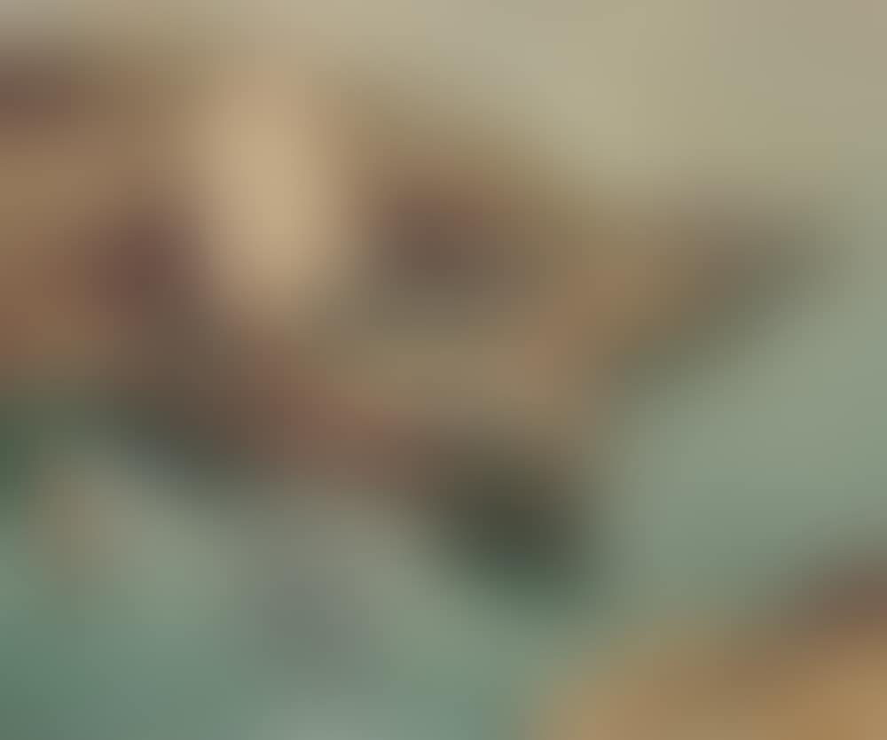 Sailing Boats (preview)