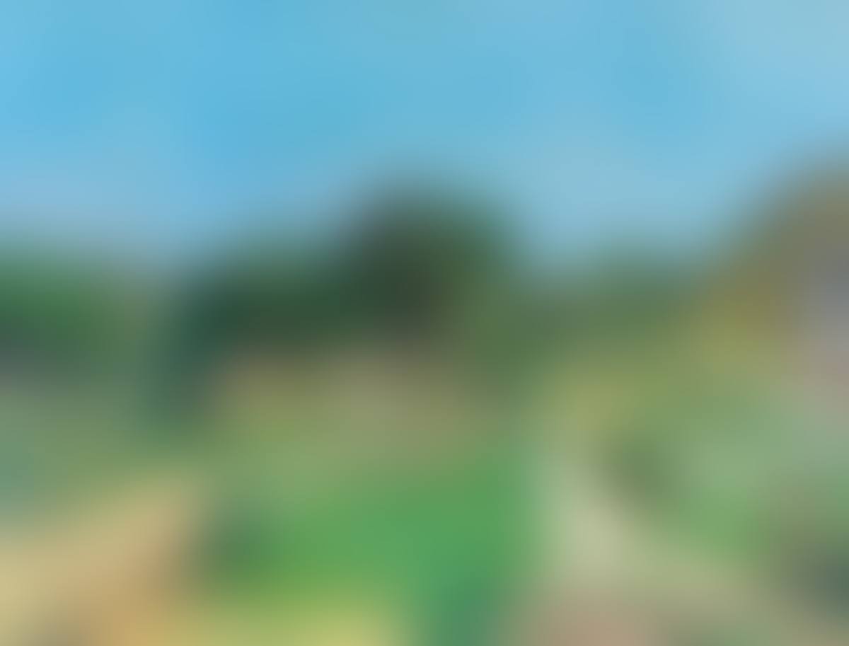 Village (preview)