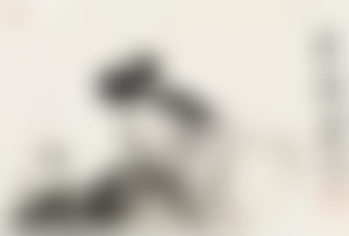 Cat (preview)