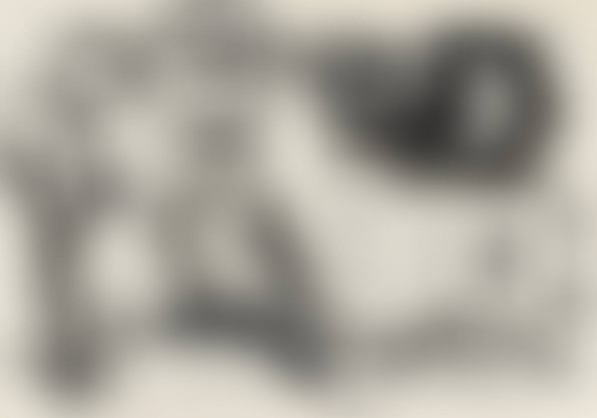 Owl (preview)
