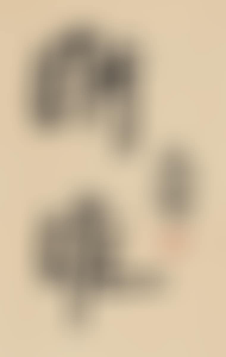 Long Life (preview)