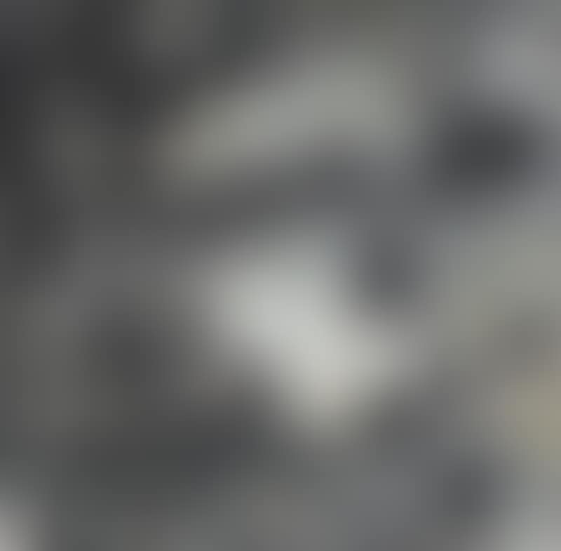Birds (preview)
