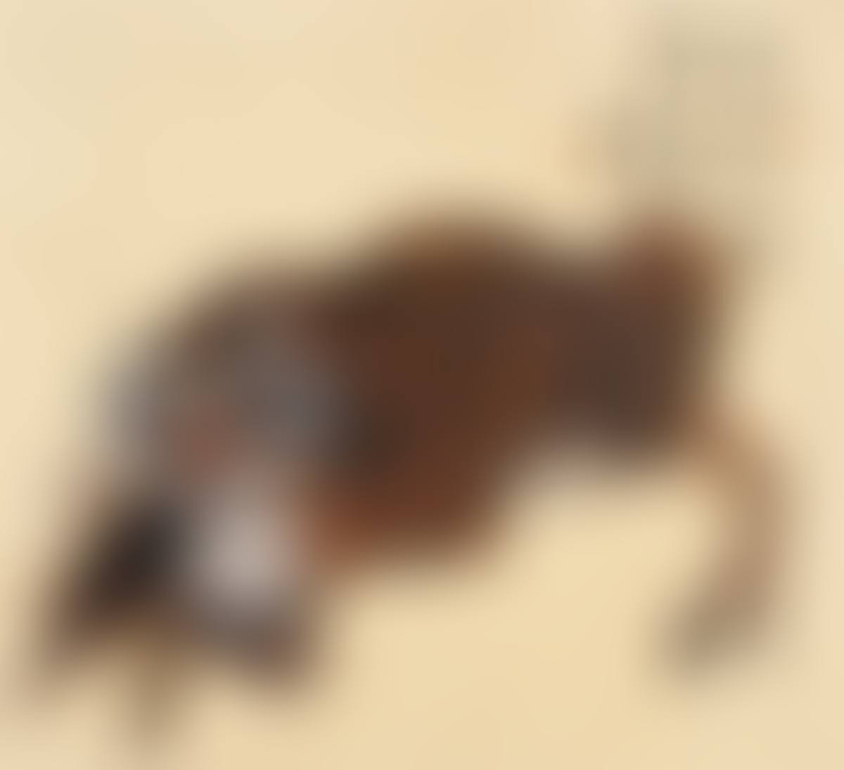 Tiger Eating Wild Goose (preview)