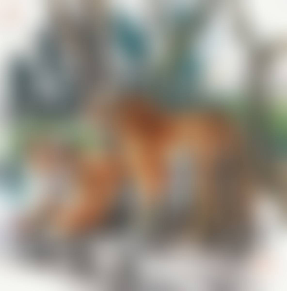 Tiger (preview)
