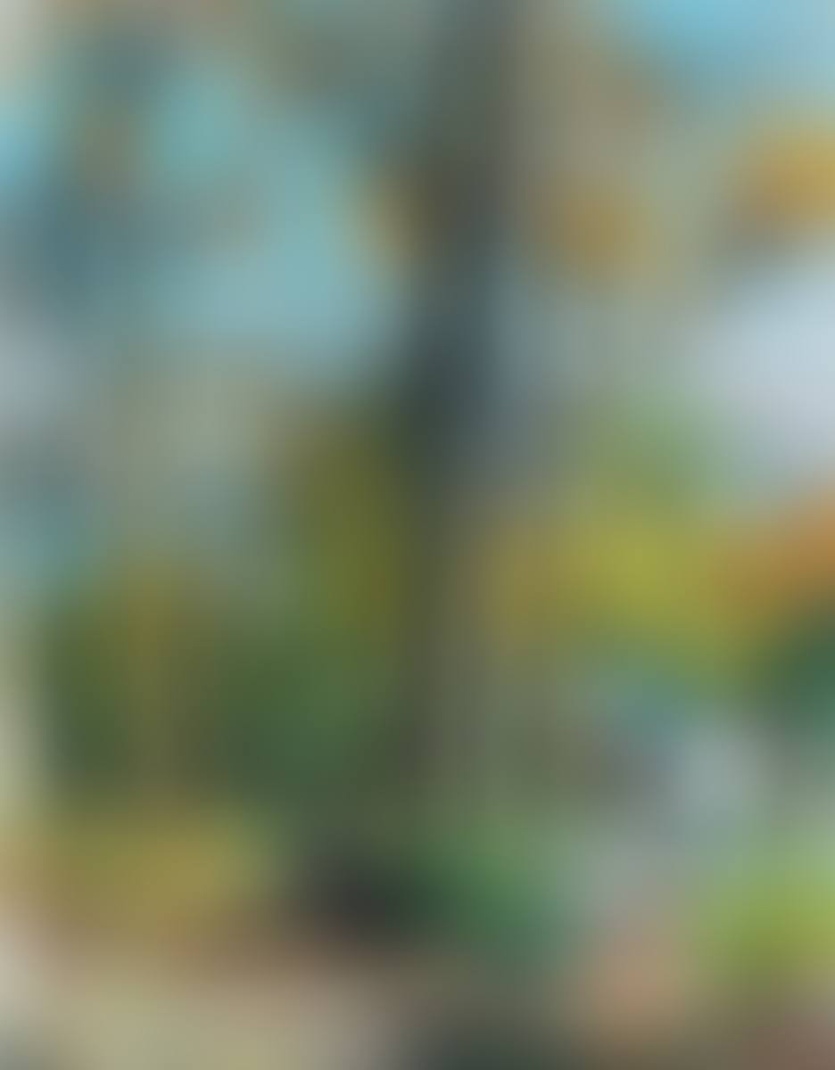An Old Man Under a Big Tree (preview)