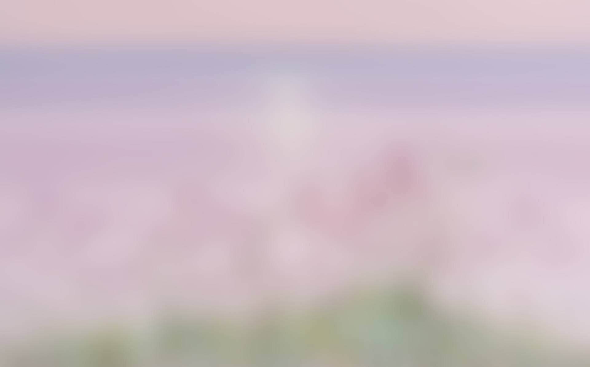 Nature-Memory (preview)