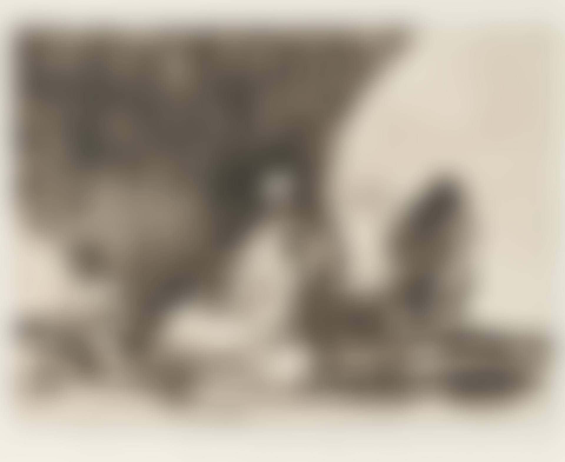 "Sanos y Enfermos,"; , plate 51 from "Disasters of War" (preview)