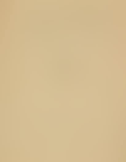 PAINTING DEALER (preview)
