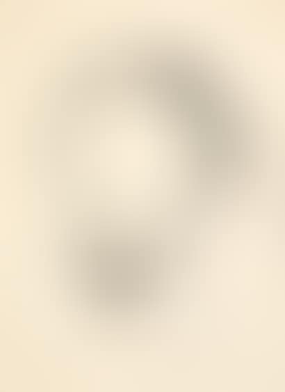 BRAIN (preview)