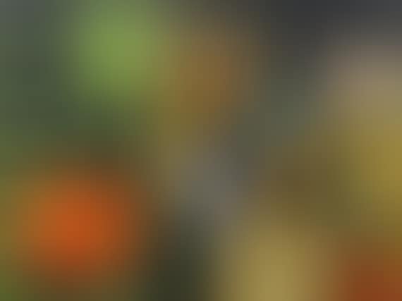 New Zealand Descent (preview)