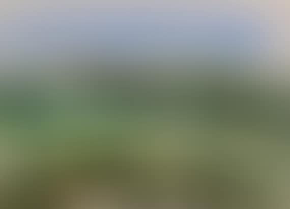 Untitled - Landscape (preview)