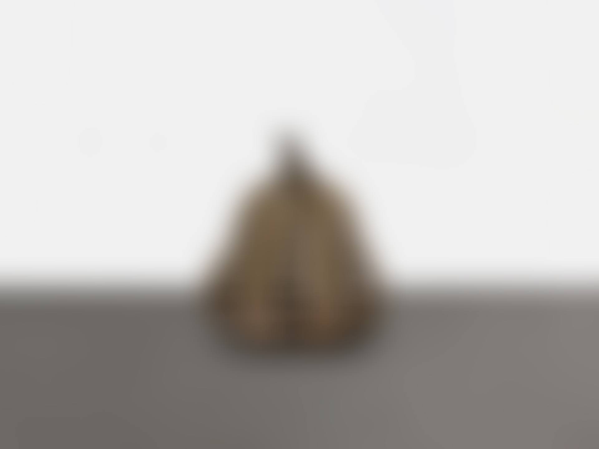 Pumpkin (M)  (preview)