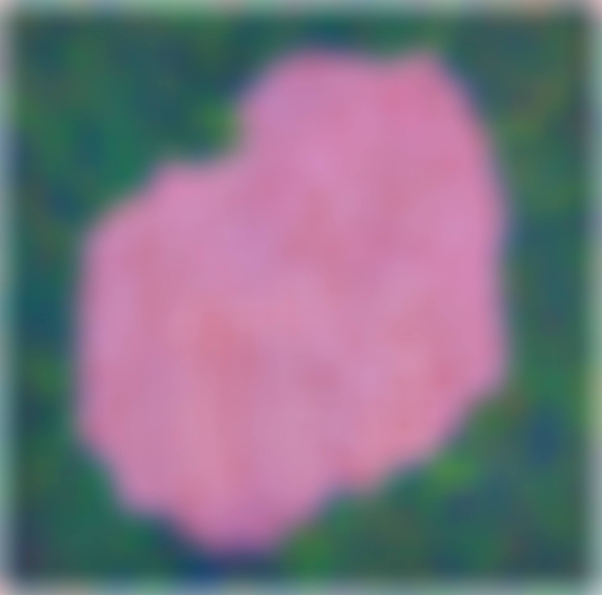 An Island (15)  (preview)