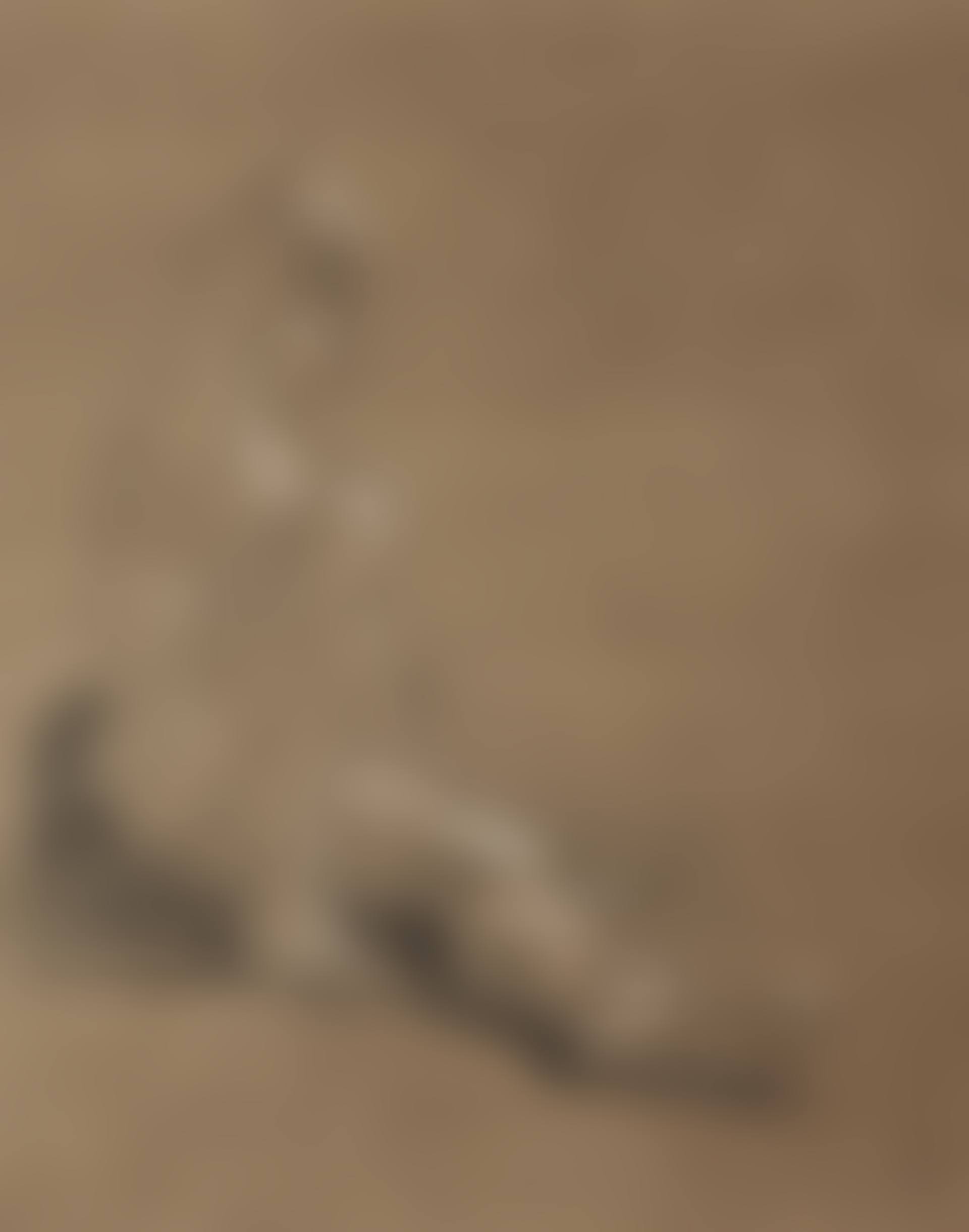 William Etty, RA (preview)