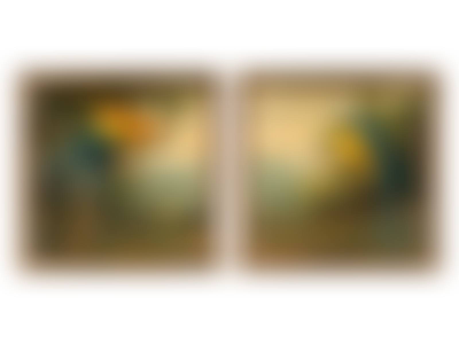 Parrots (two works) (preview)