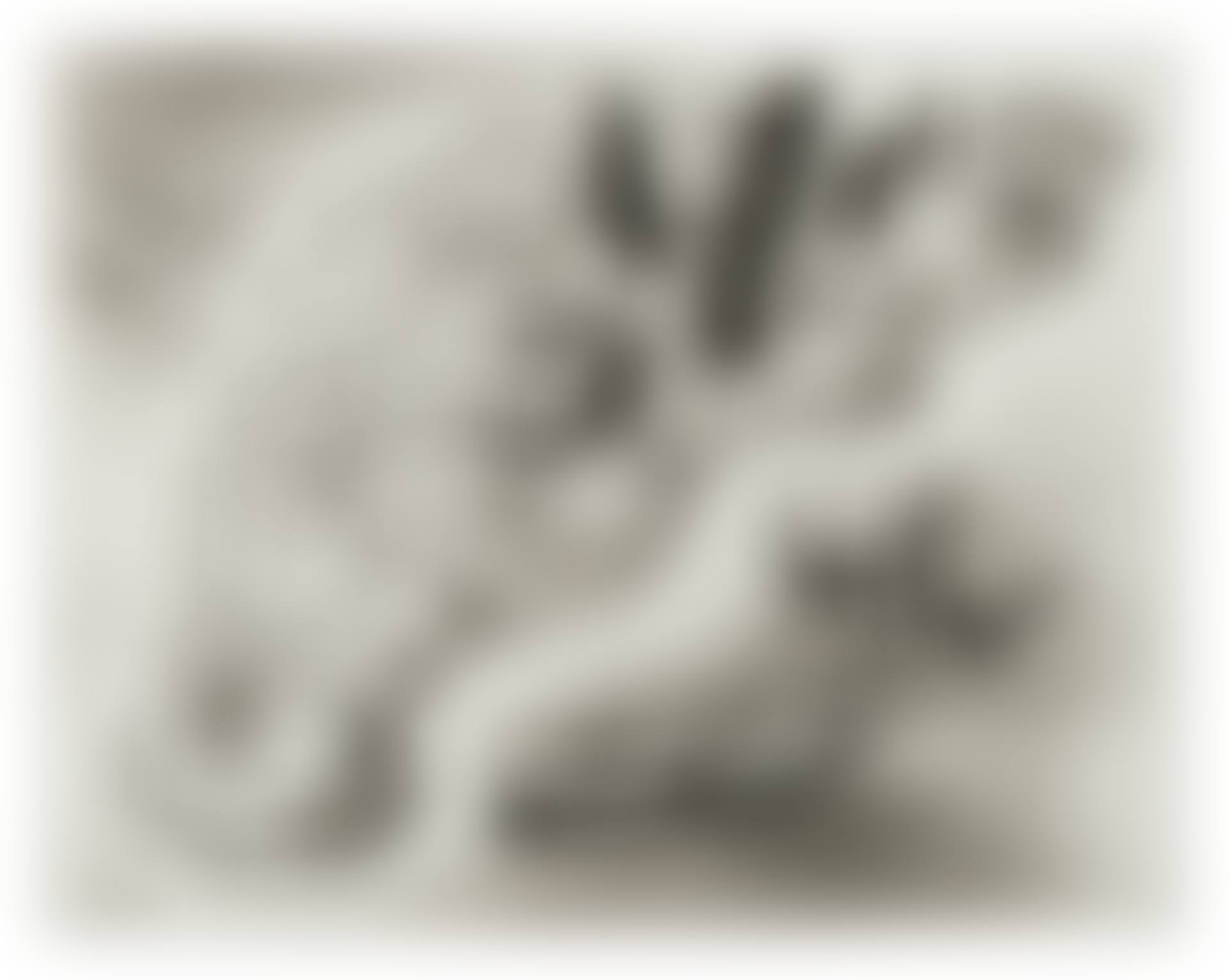 Mysterious Easter Island (preview)