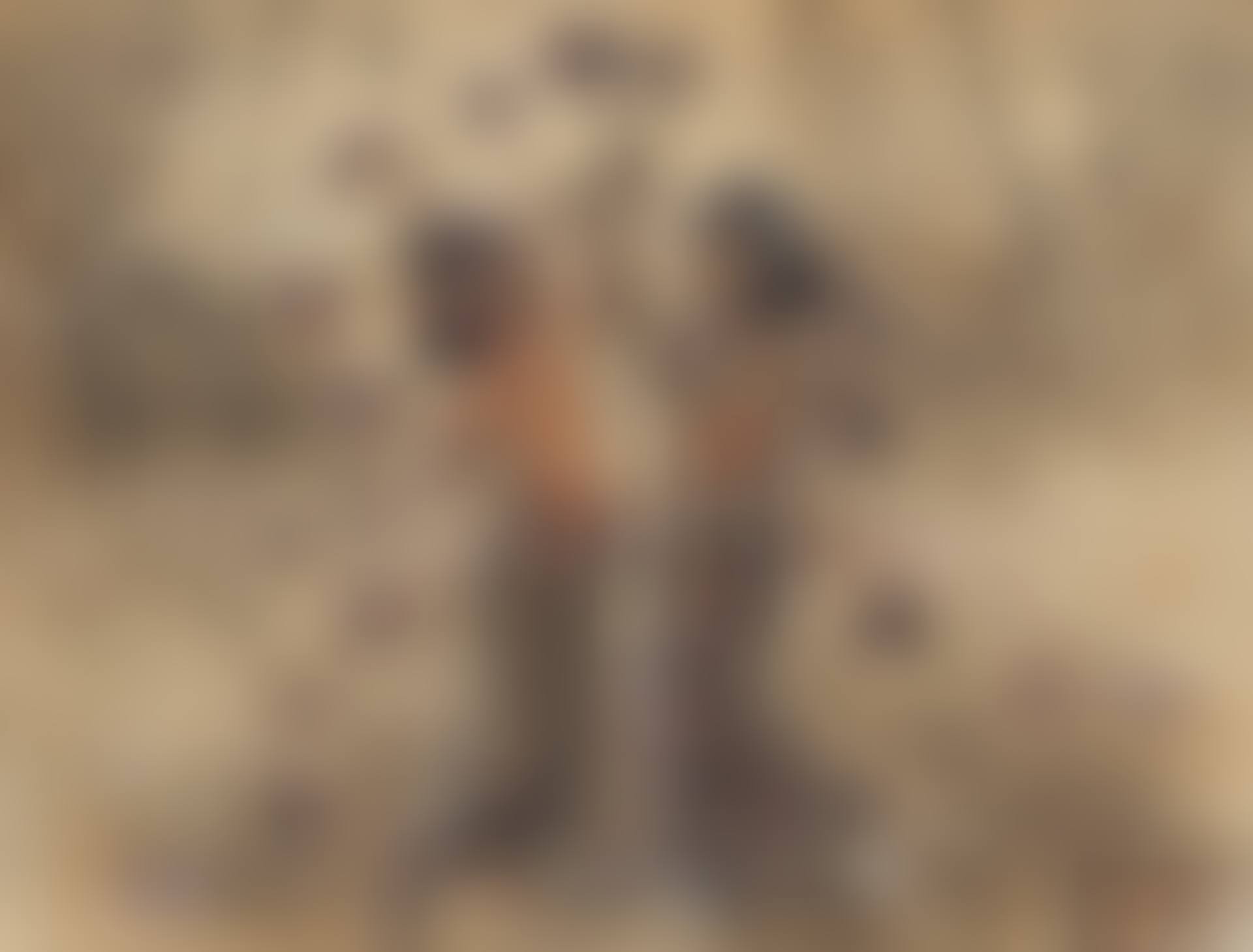 Two Balinese maidens in a garden (preview)