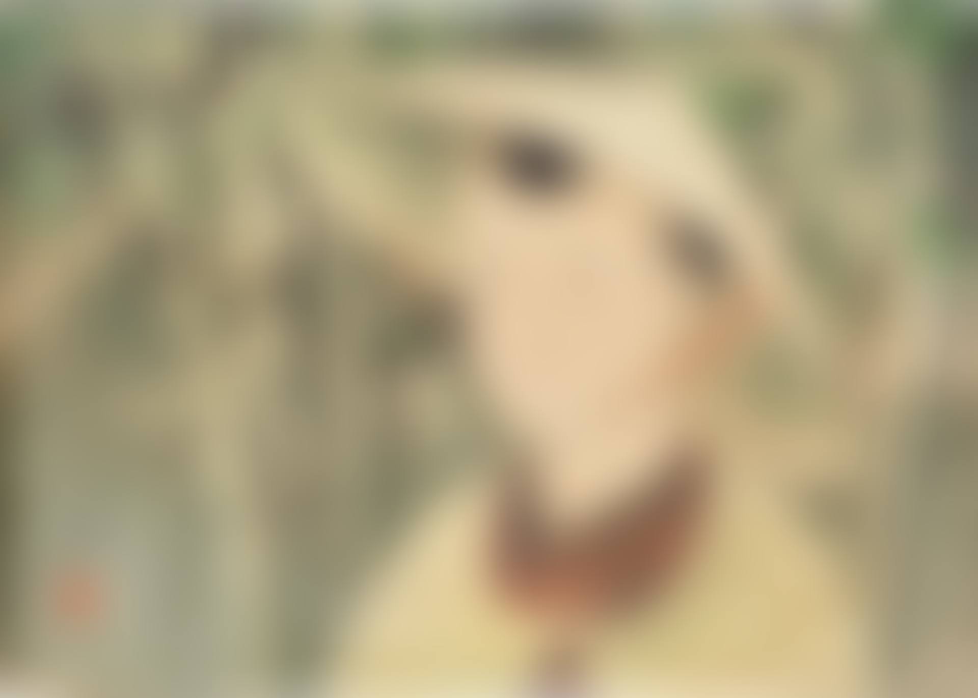 Portrait of a Vietnamese boy (preview)