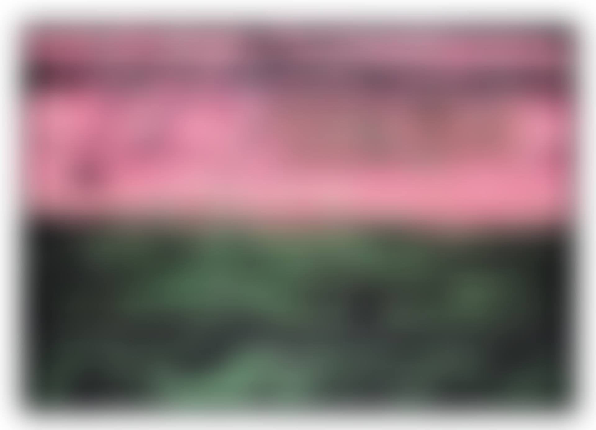 SP85 (preview)
