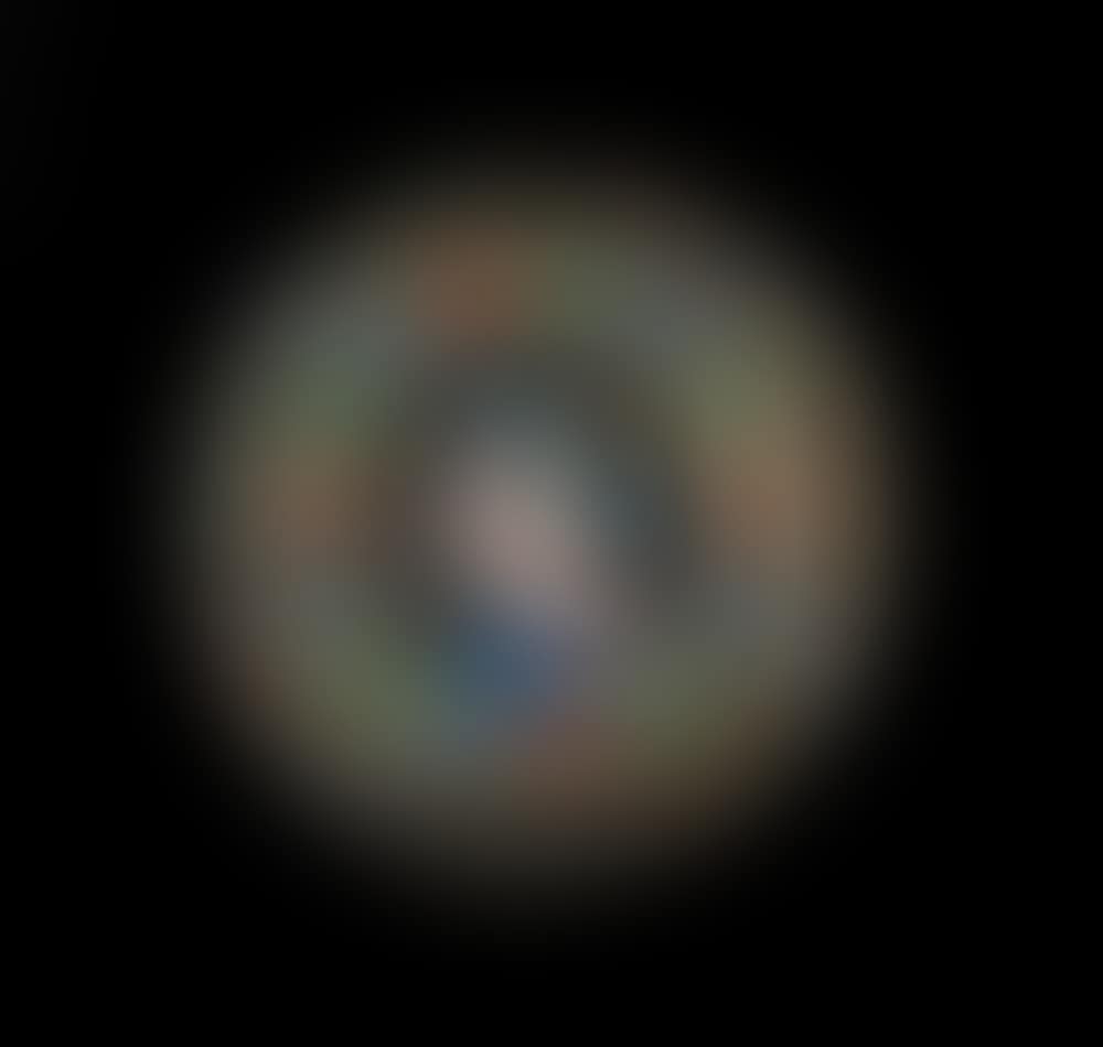 SALERON (preview)