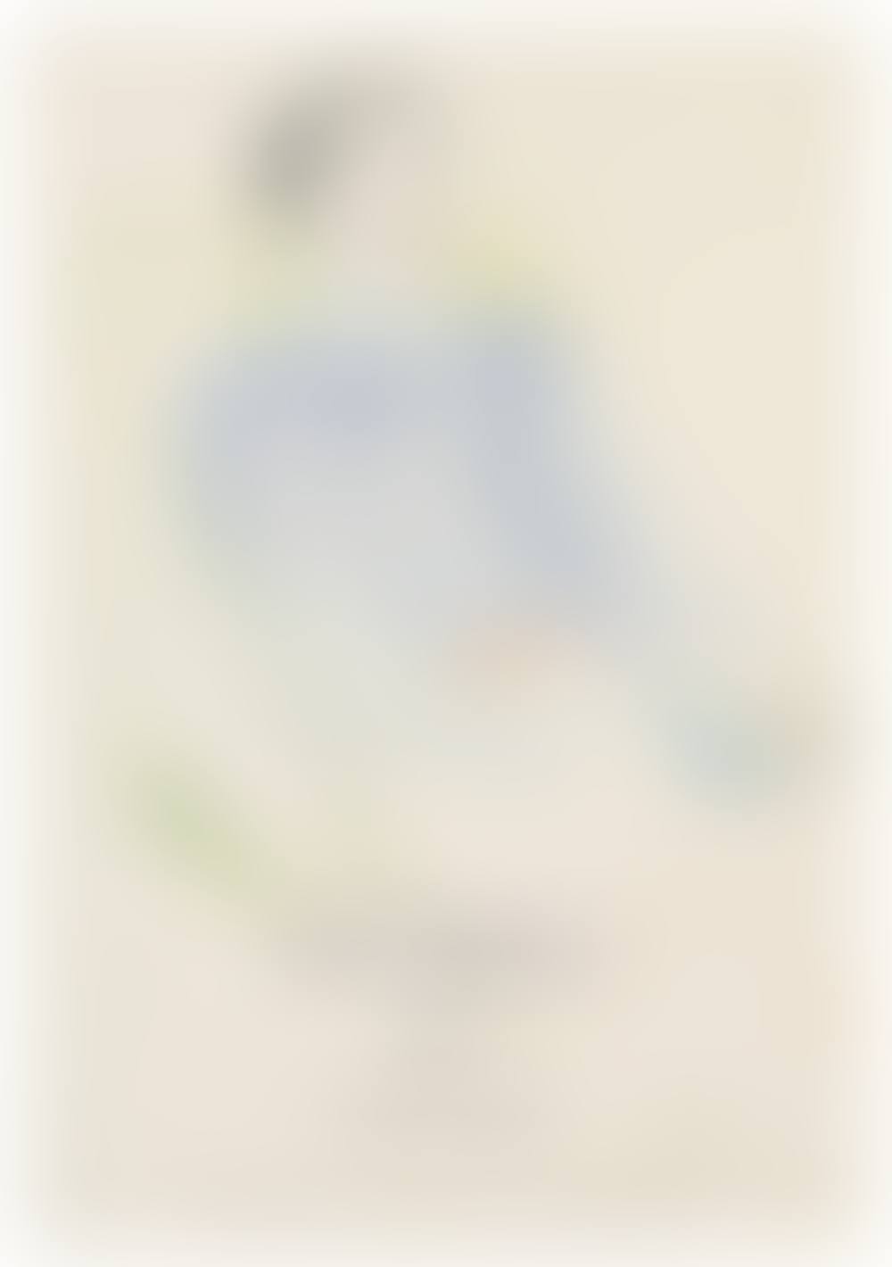 Jacques de Bascher de Beaumarchais (preview)